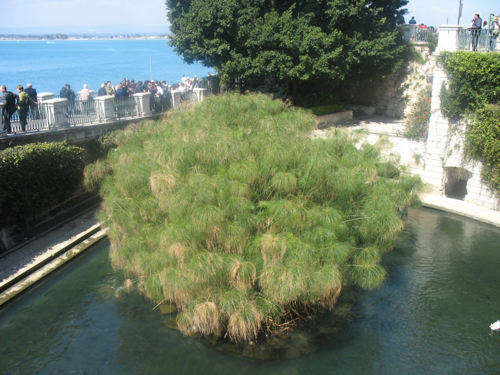 Fonte_aretusa_1
