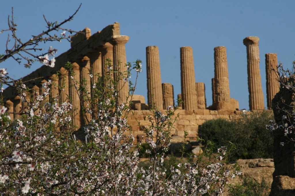 Tour sicilia agrigento