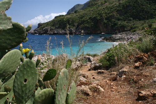 Tour nella provincia di Trapani
