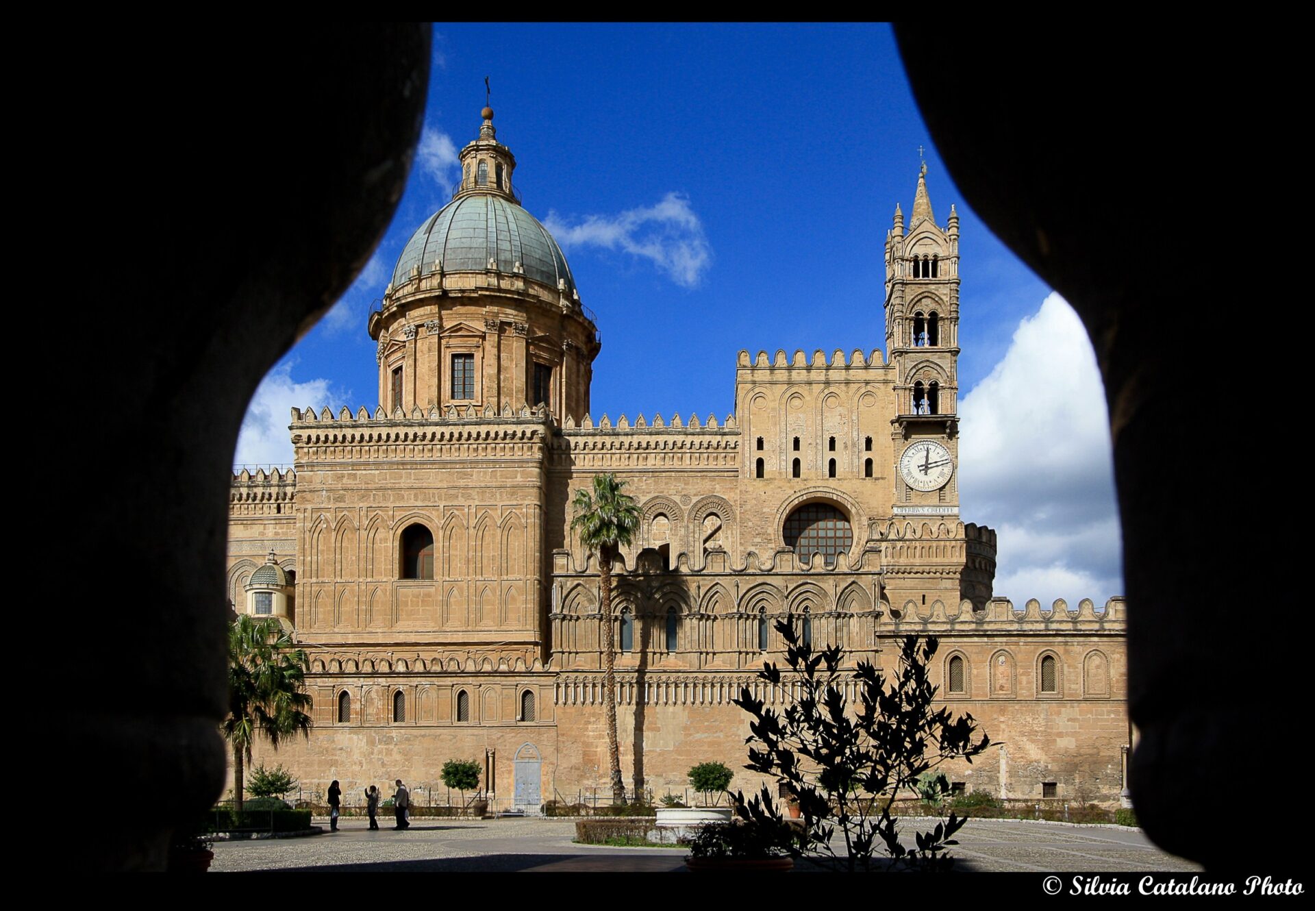 Cosa Si Può Fare Oggi A Palermo