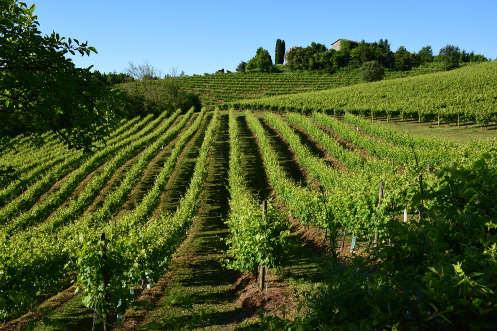 Castiglione in sicilia - villaggi in Sicilia