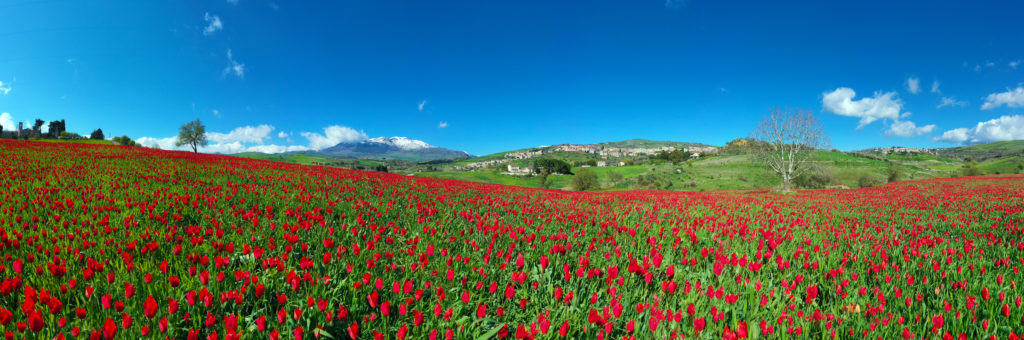 Questa immagine ha l'attributo alt vuoto; il nome del file è Parco-delle-madonie_1-1024x340.jpg