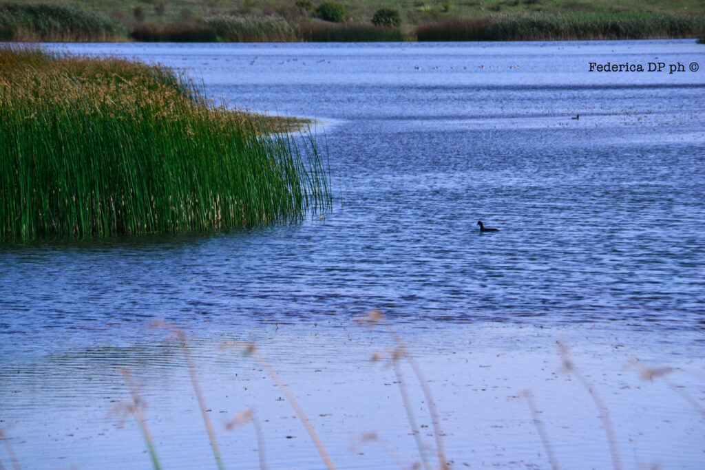  scopriremo cosa vedere a Enna castelli  musei  e laghi artificiali e naturali Sicily itineraries: what to see in Enna