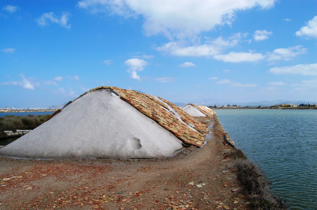 Cosa vedere alle saline di Trapani e Paceco mulino Maria stella, il percorso del salinaio, museo del sale, birdwatching trapani, le saline rosa What to see at the salt pans of Trapani and Paceco 