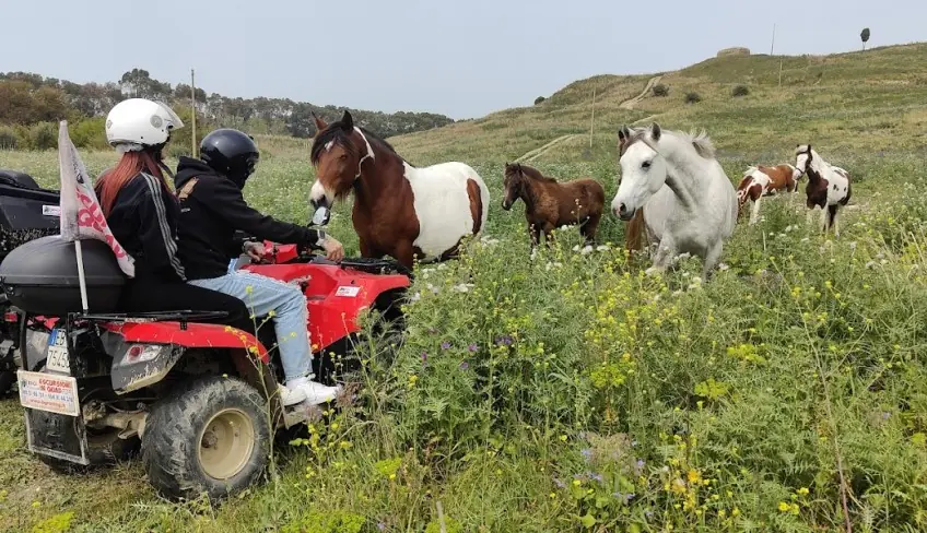 things to do in agrigento