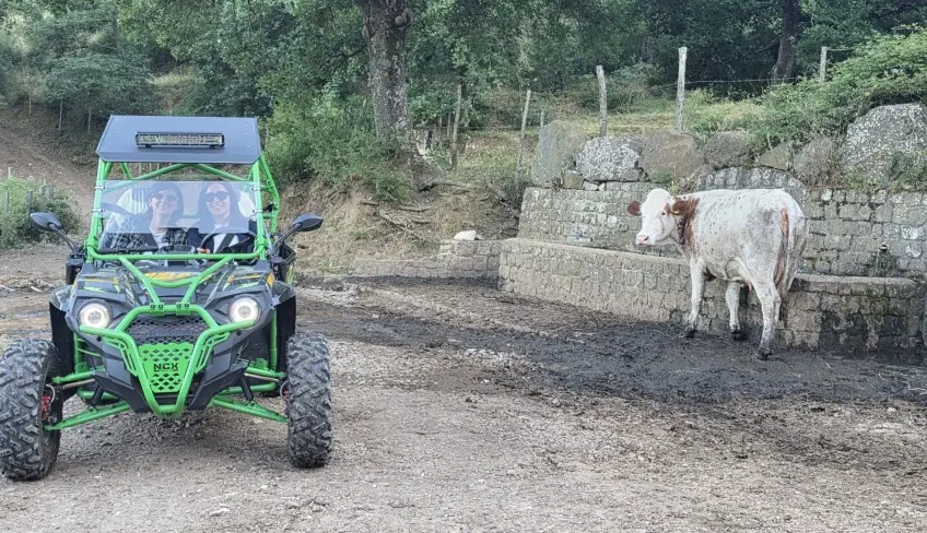 Quad San Mauro Castelverde and Zip line