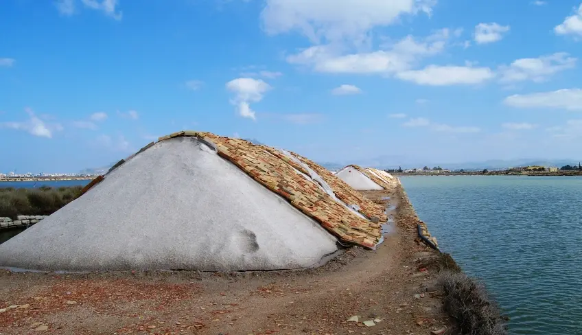 tour di un giorno segesta trapani erice