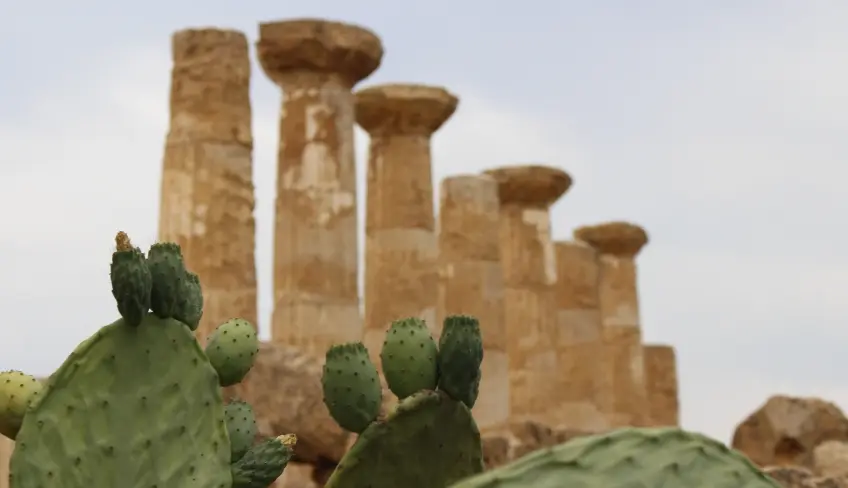piazza armerina e agrigento