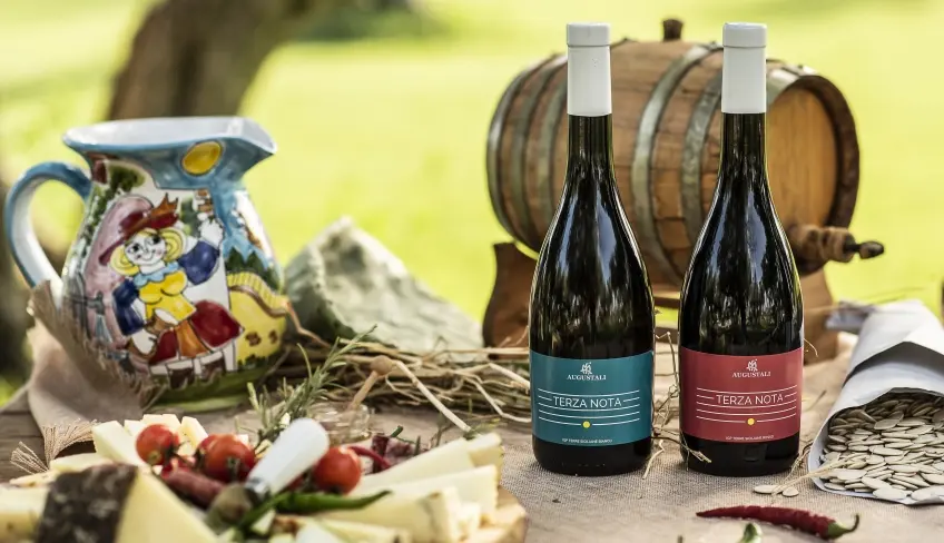 degustazione vini e prodotti tipici