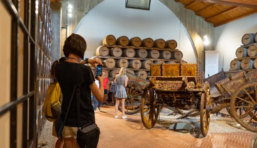 visita cantina e carri