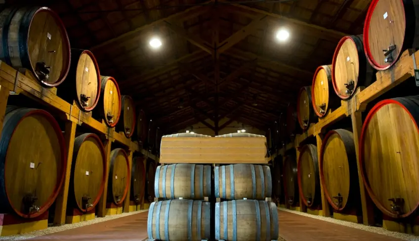 cantina degustazione