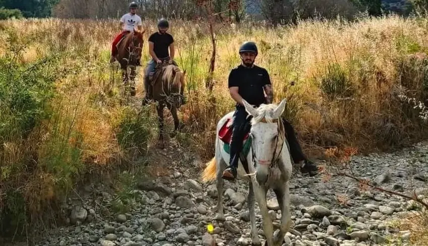 Tour a cavallo Sicilia
