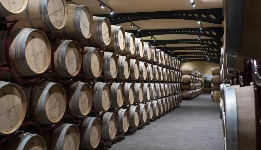 winery-degustazione vini-cantina a Palermo