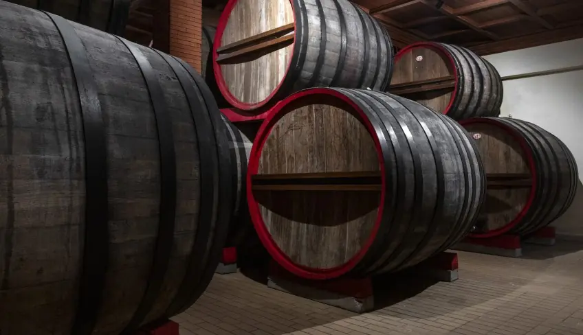 winery-degustazione vini-cantina a Palermo