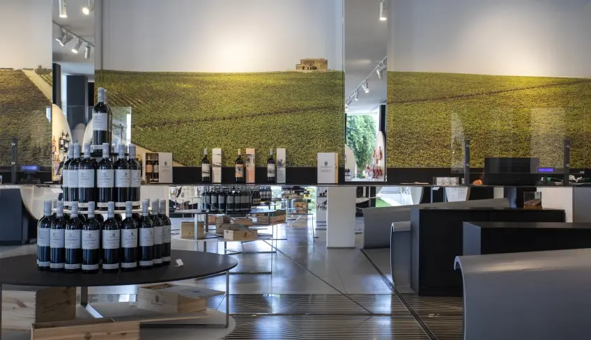 winery-degustazione vini-cantina a Palermo
