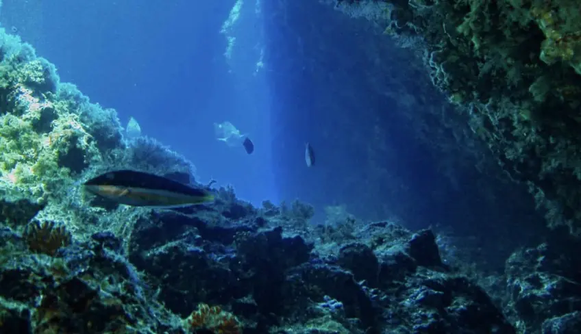 сноркелинг сицилия море сицилии подводные погружения Таормина