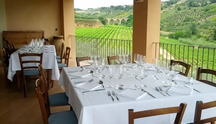 Cellars & Wineyards Holiday in Sicily -Wine tasting Sicily