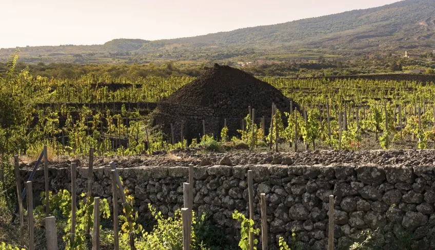 Cantine Etna - Mangiare Sull'Etna