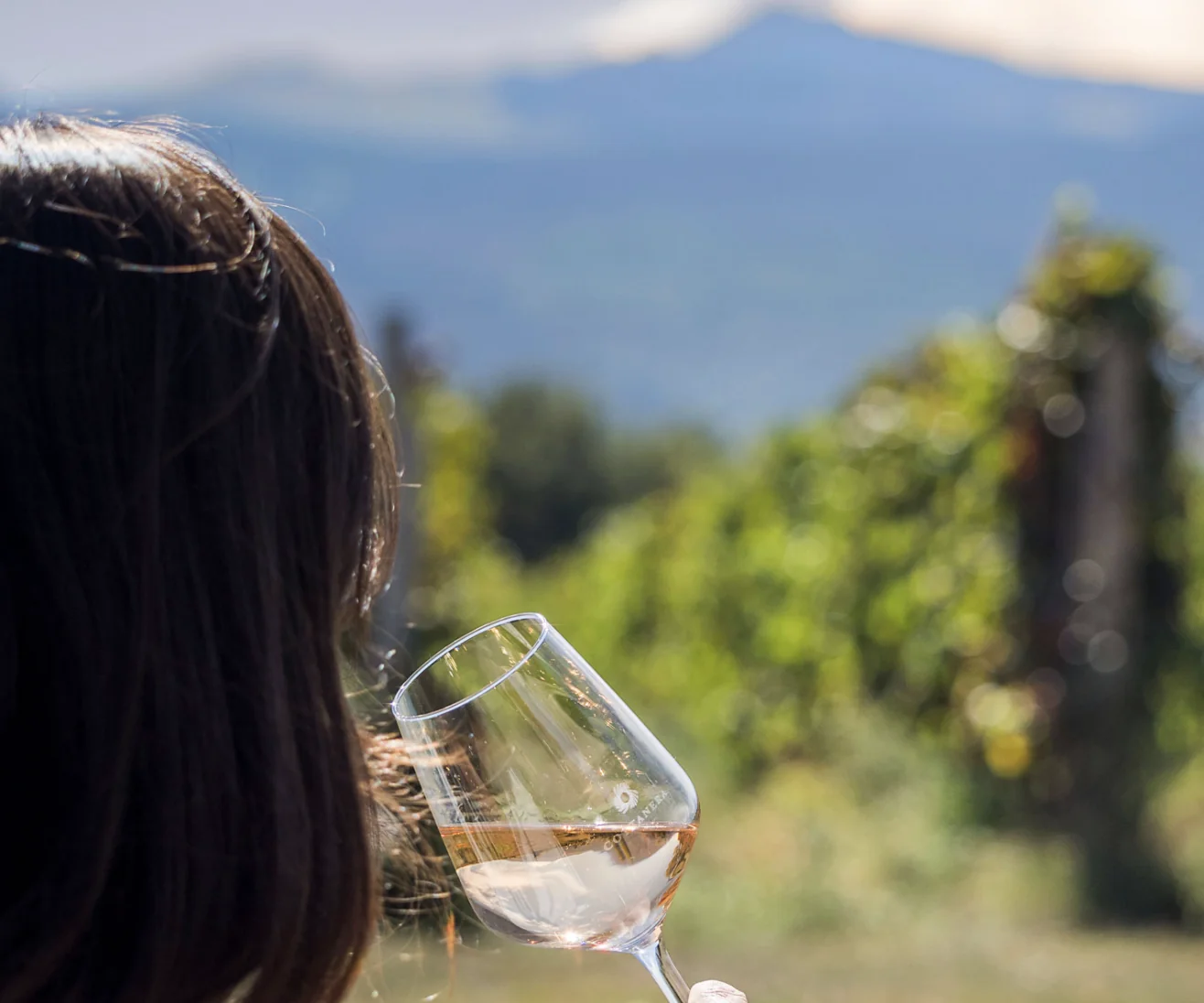 Cantine Etna - Degustazione Vini Etna