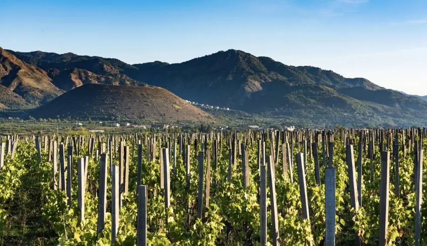 Cellars & Wineyards Holiday in Sicily -Cellar Etna