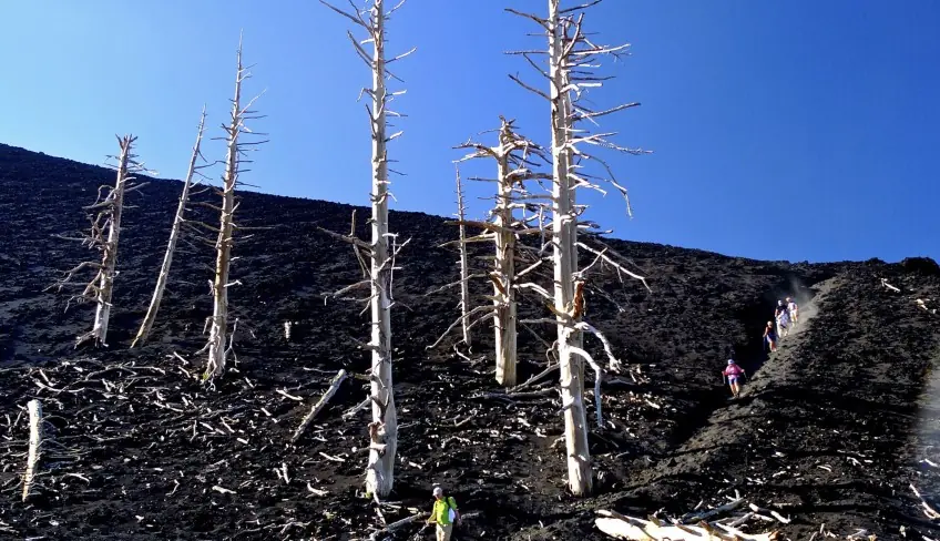 Nature Holiday in Sicily -hiking Etna