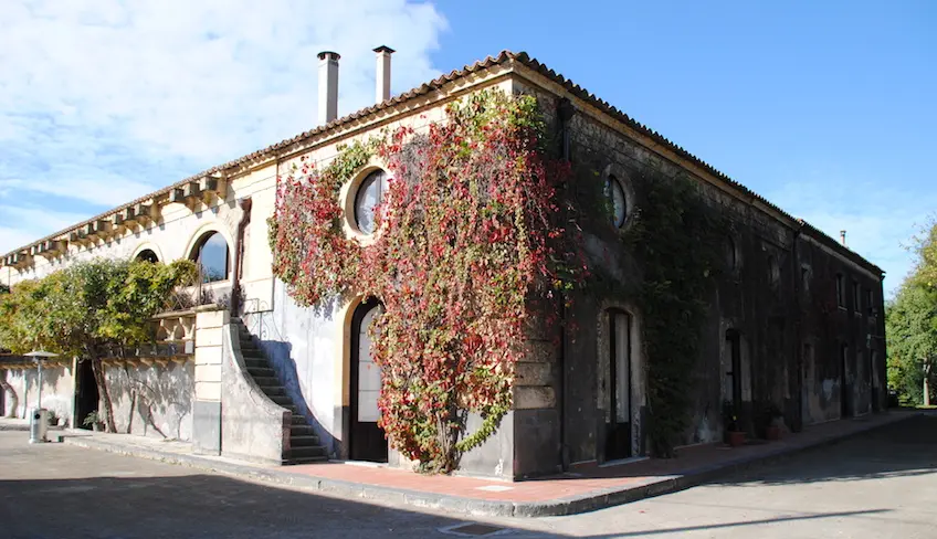 aziende vinicole catania