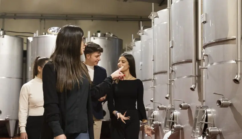 Cantine Palermo - Vini Palermo