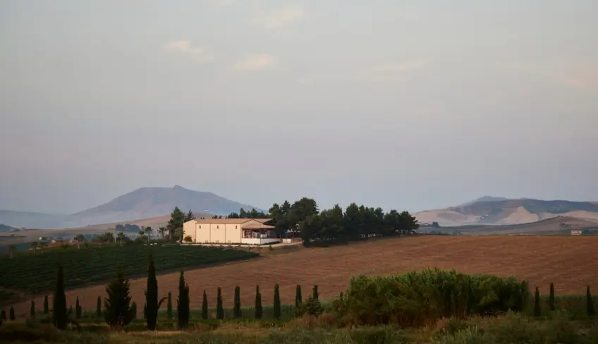 Cantine Palermo - Vini Palermo