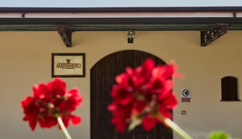 Mangiare A Palermo - Cantine Palermo