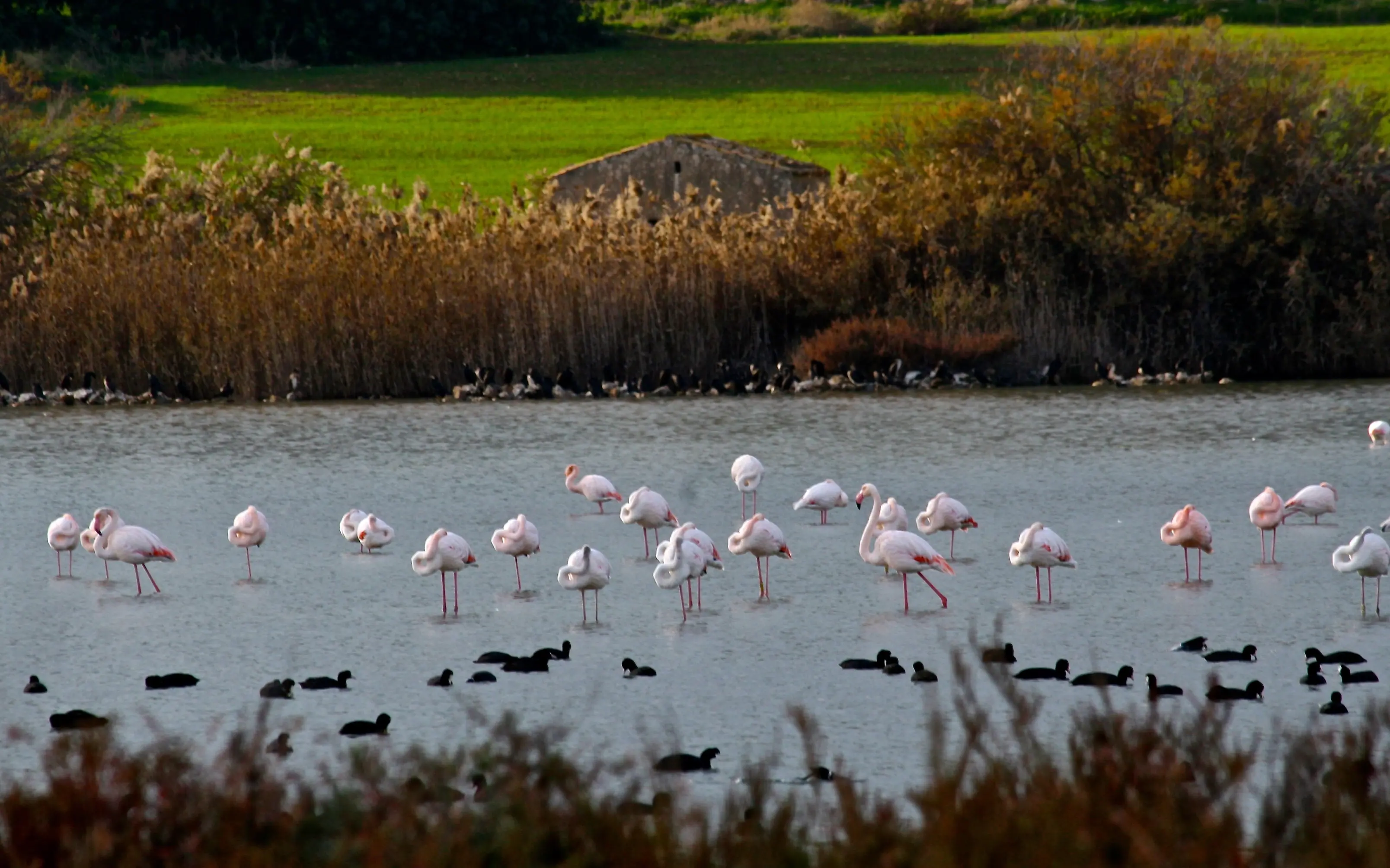 Riserva Vendicari - Riserva Naturale Sicilia