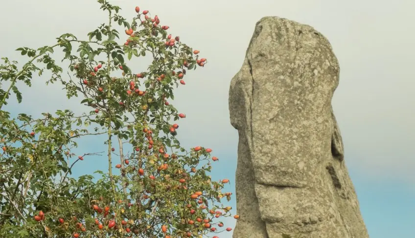 трекинг археологическая экскурсия Сицилия природа и пейзажи Агримуско