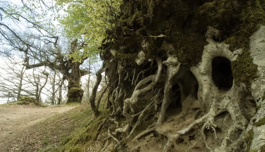 трекинг археологическая экскурсия Сицилия природа и пейзажи Агримуско