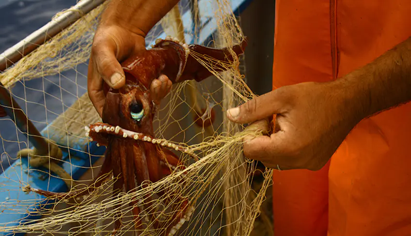 Esperienza di pescaturismo tra Scopello e la Riserva dello Zingaro