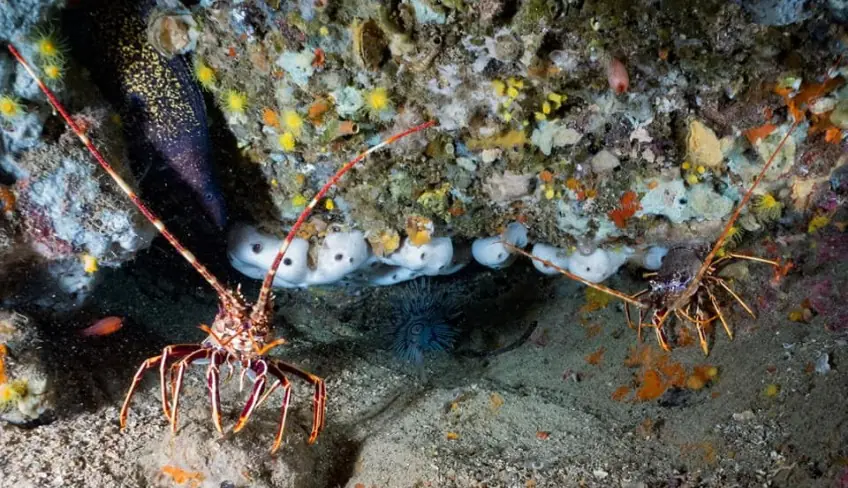 Scubadiving Catania
