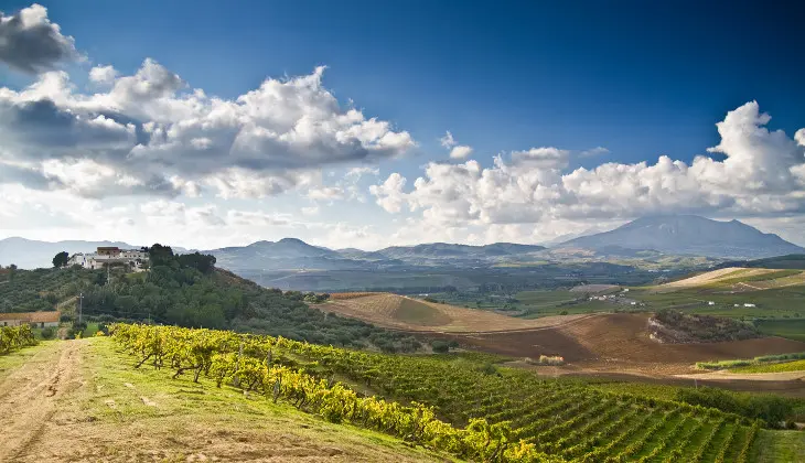 Weintourismus Sizilien berühmter sizilianischer Wein sizilianische Traditionen Weine