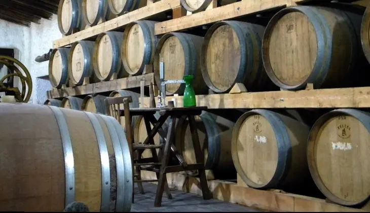 Cellars & Wineyards Holiday in Sicily -Wine tasting Sicily