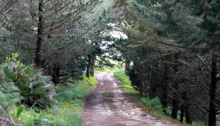 Nature Holiday in Sicily -Park in sicily