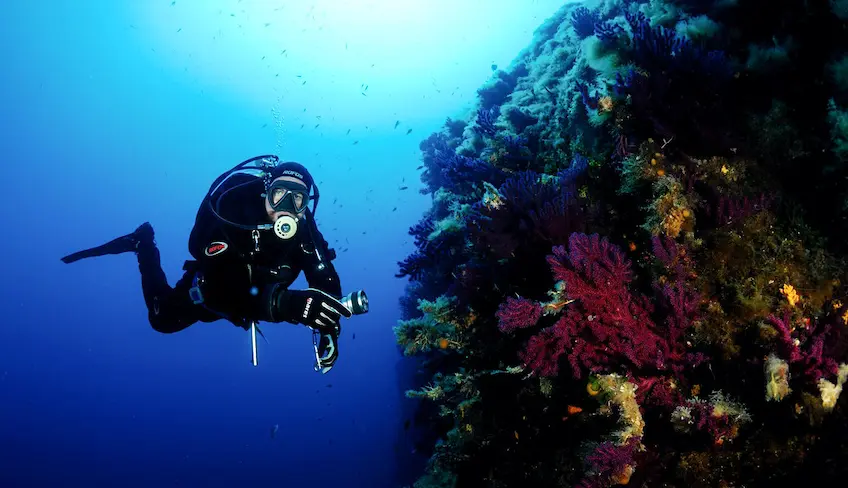 Diving Trapani - Diving Marsala