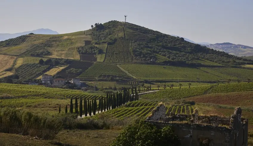 wine tasting palermo
