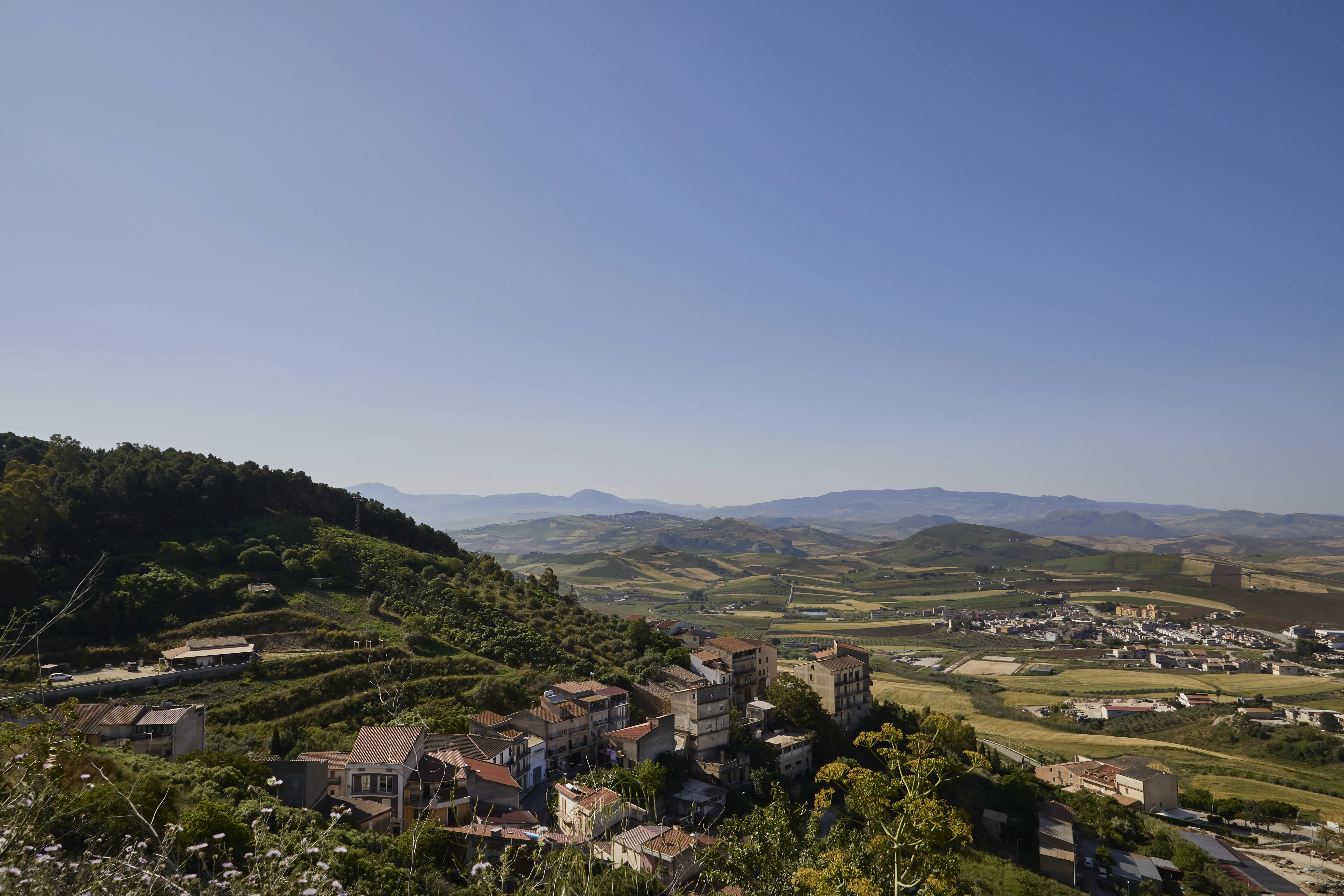 degustazione vini palermo-cantine palermo-cantine siciliane da visitare