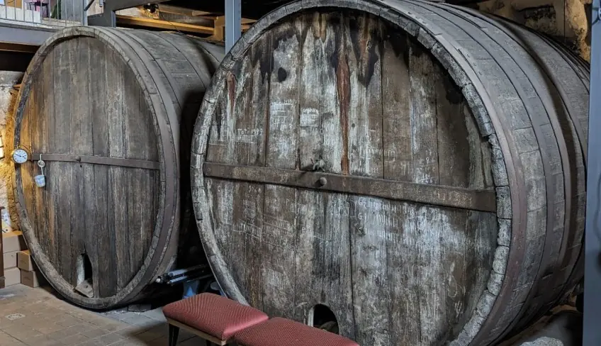 degustazione vini etna aziende vinicole etna cantina siciliana