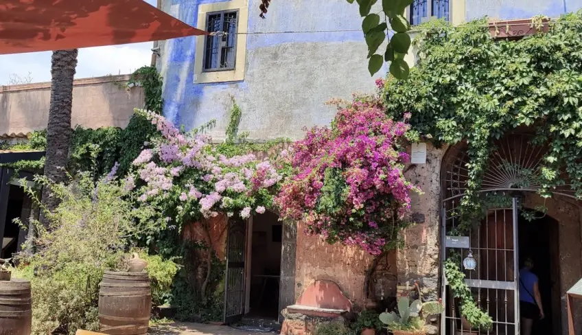 degustazione vini etna aziende vinicole etna cantina siciliana