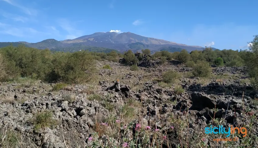vista etna tour bici