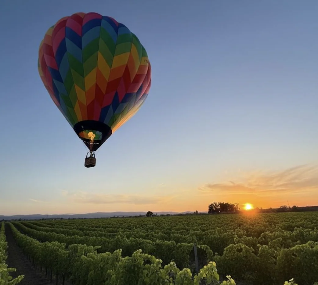 Воздушный шар над виноградниками Сицилии на закате