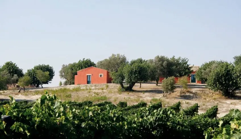 Weinverkostung in Sizilien