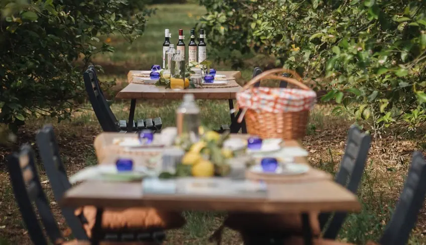 best sicilian olive oil