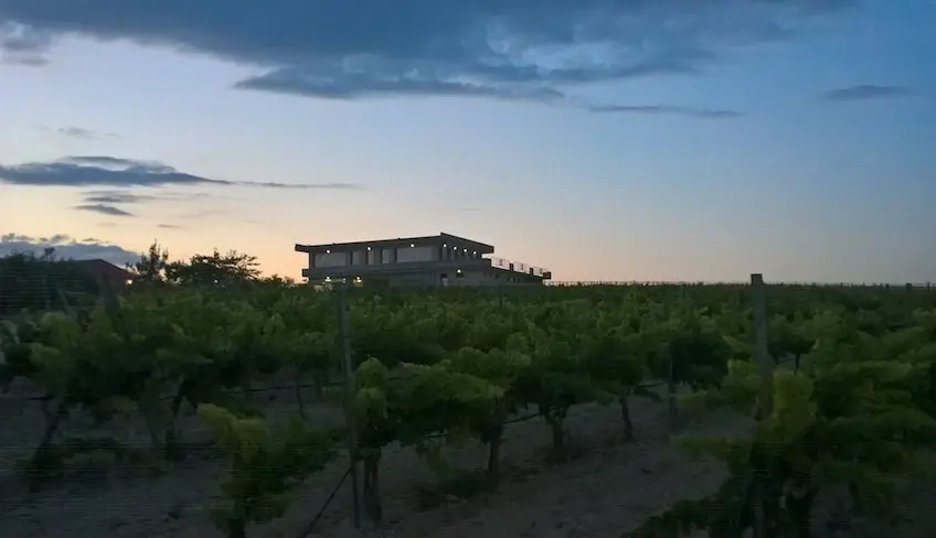 azienda agricola noto